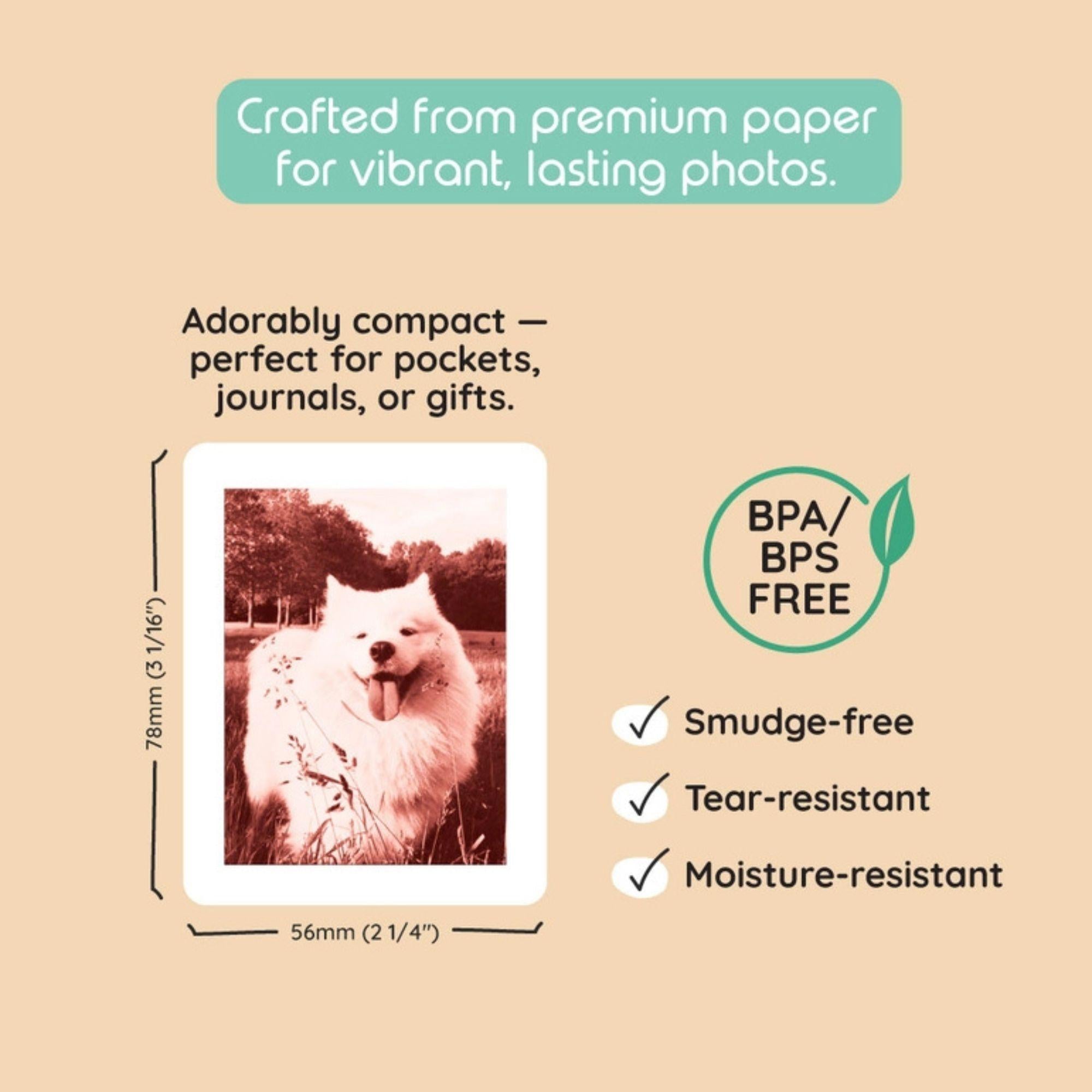 Kiimento Fotopapier Set für P2 Kamera